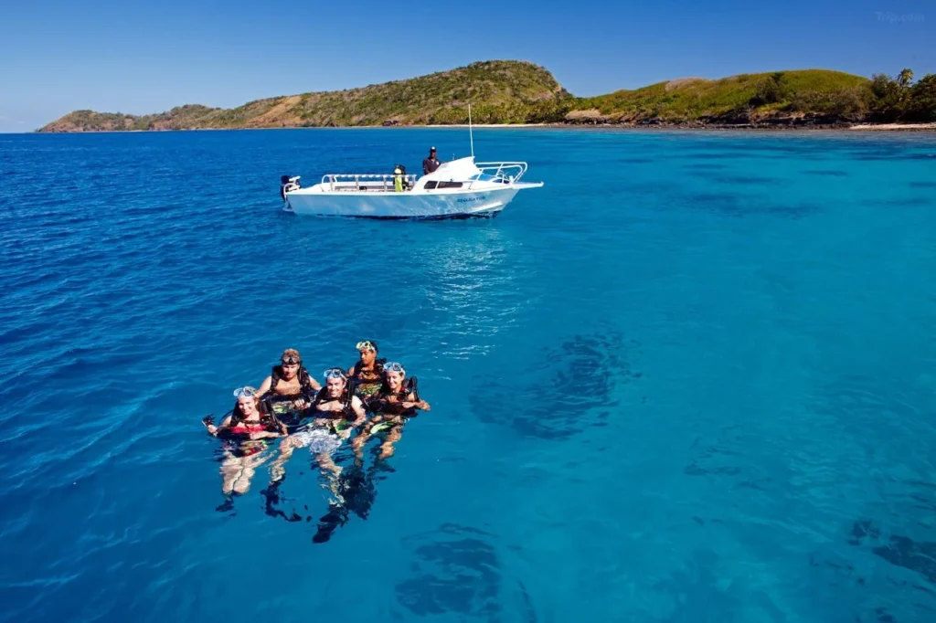 Mantaray-Island-snorkelling